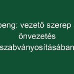 Xpeng: vezető szerep az önvezetés szabványosításában